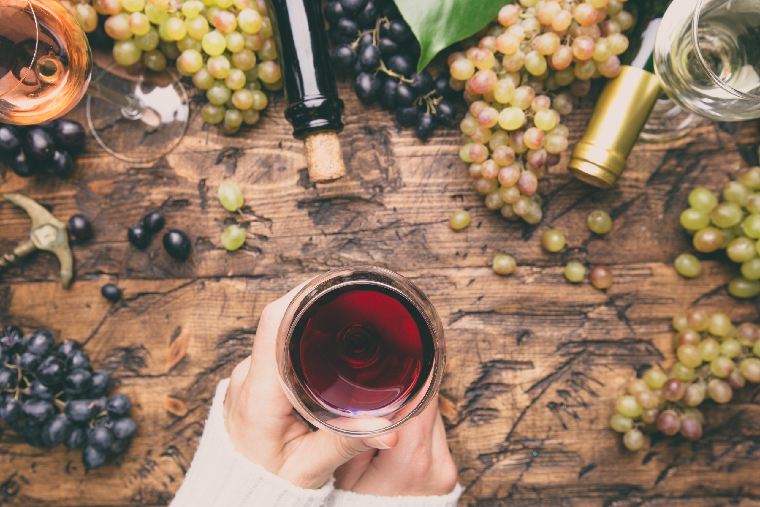 A Guide to Sustainable and Organic Wines for Gifting